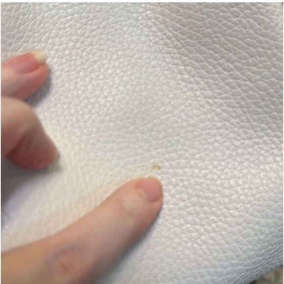 COACH 1941 BANDIT HOBO 39 LEATHER 86760 HANGTAG & BAG INSERT CHALK BRASS OXBLOOD - Picture 12 of 17